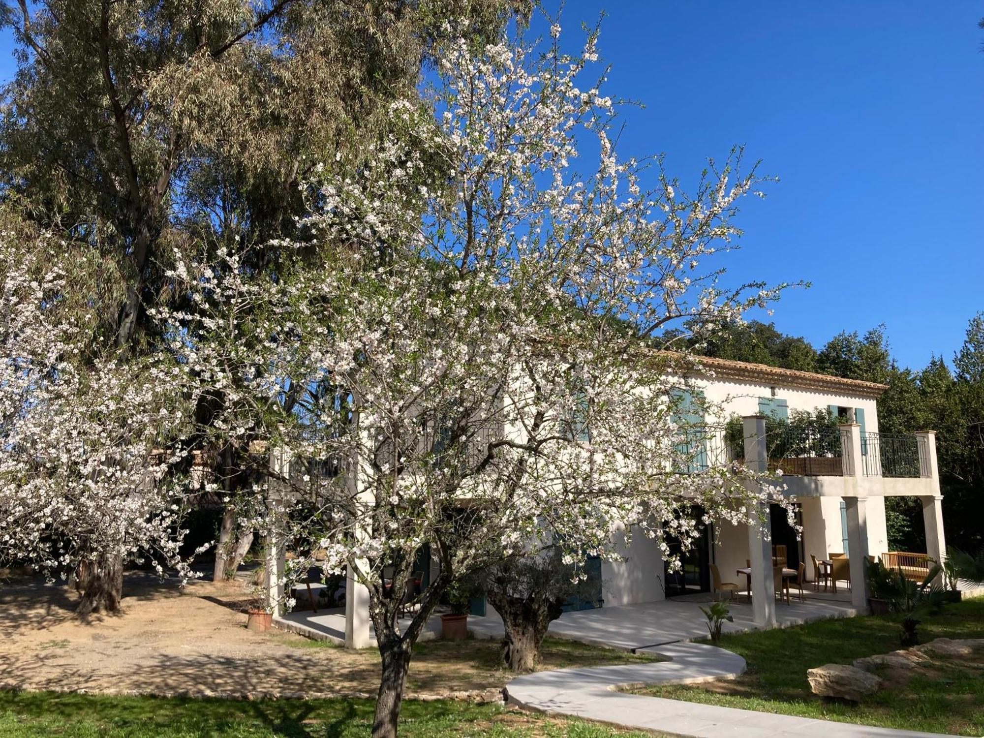 Loumar Bed & Breakfast